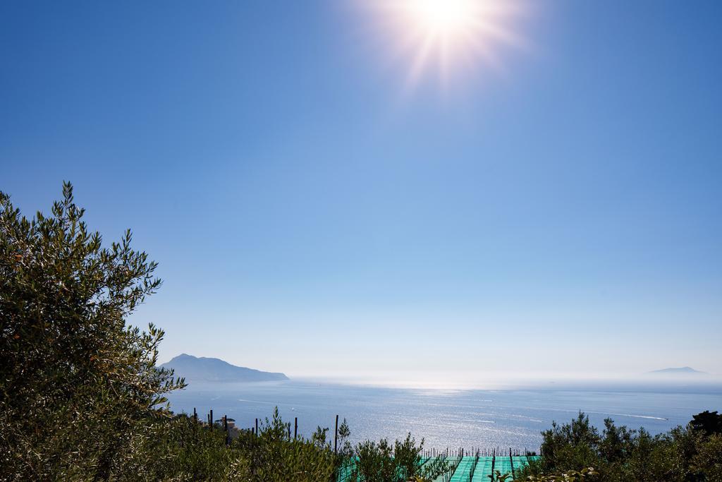 Il Nido Del Gabbiano Lägenhet Massa Lubrense Exteriör bild