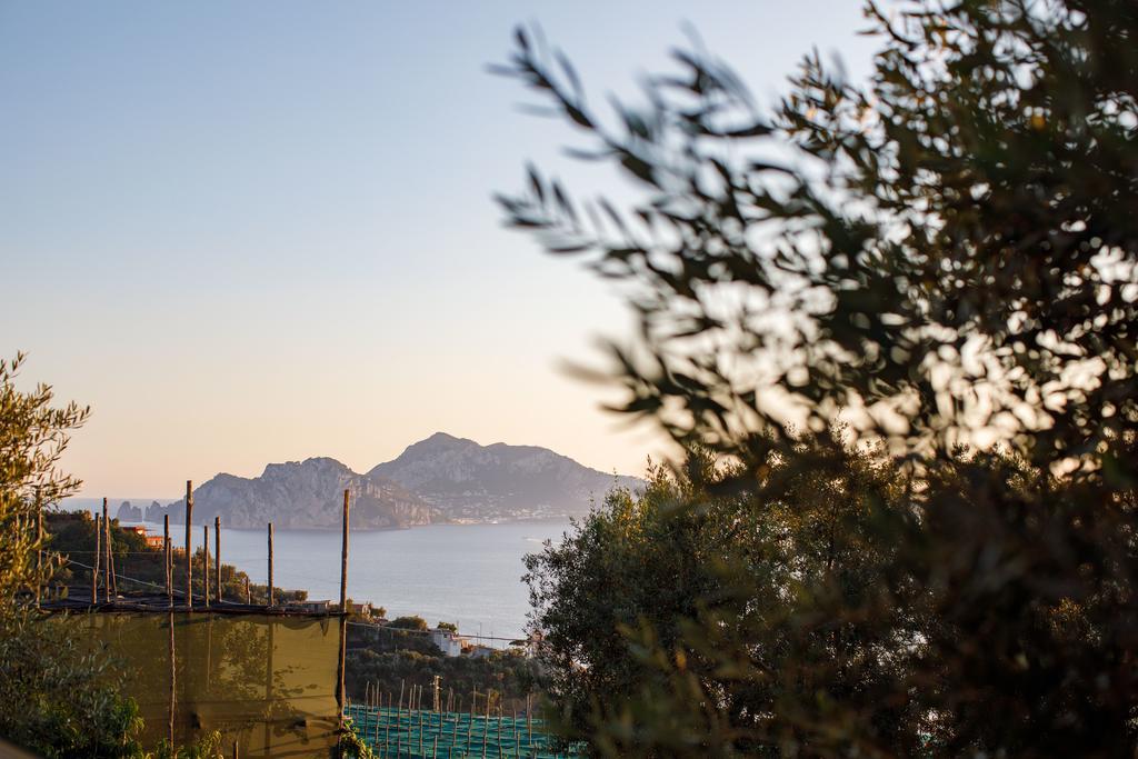 Il Nido Del Gabbiano Lägenhet Massa Lubrense Exteriör bild